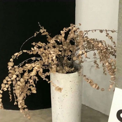 兽设Q版设计实用教程兽圈群